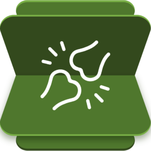 Joint Inflammation